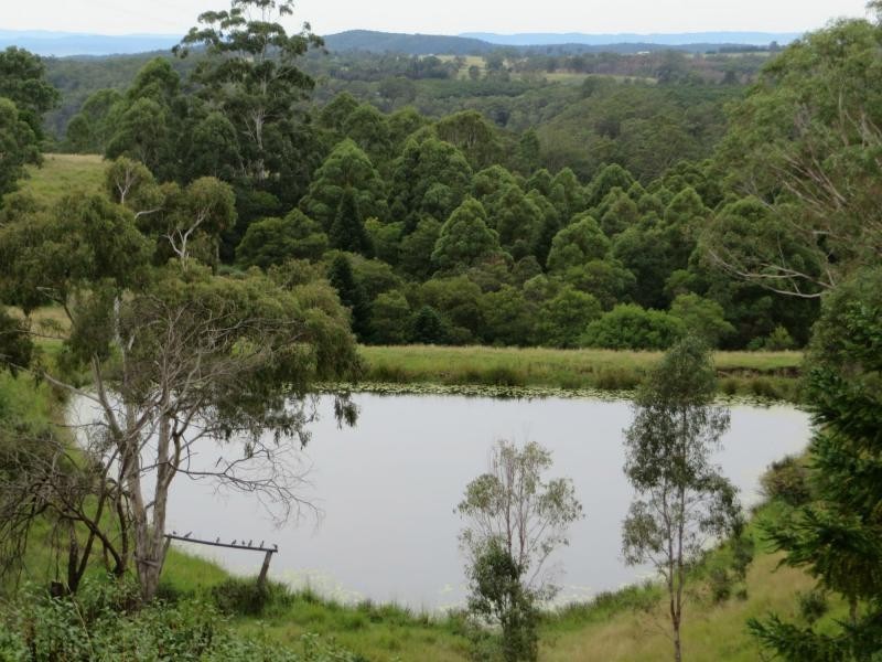 Hogarth Range NSW 2469