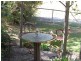 1668 Plain Station Rd , VIA CASINO / TENTERFIELD, Tabulam NSW 2469