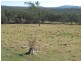 1668 Plain Station Rd , VIA CASINO / TENTERFIELD, Tabulam NSW 2469