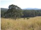 1668 Plain Station Rd , VIA CASINO / TENTERFIELD, Tabulam NSW 2469