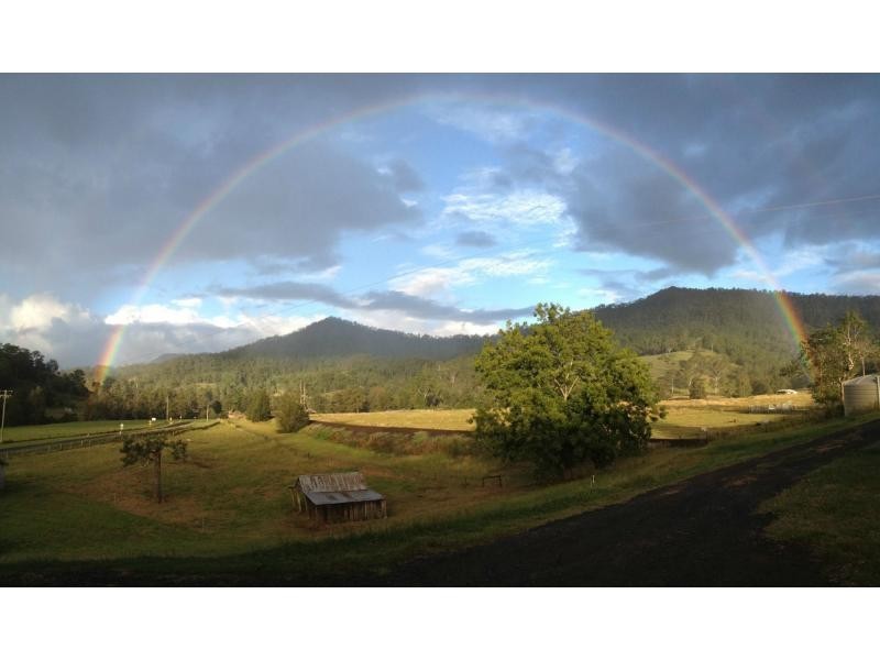 Lot 101 Gradys Ck Rd St, Gradys Creek NSW 2474