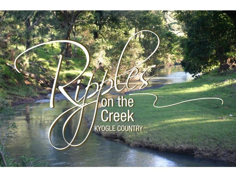 Lot 101 Gradys Ck Rd St, Gradys Creek NSW 2474