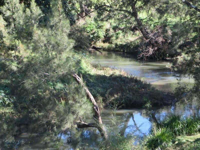 Lot 101 Gradys Ck Rd St, Gradys Creek NSW 2474