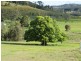 Eden Creek NSW 2474