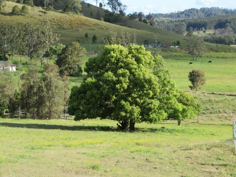 Eden Creek NSW 2474