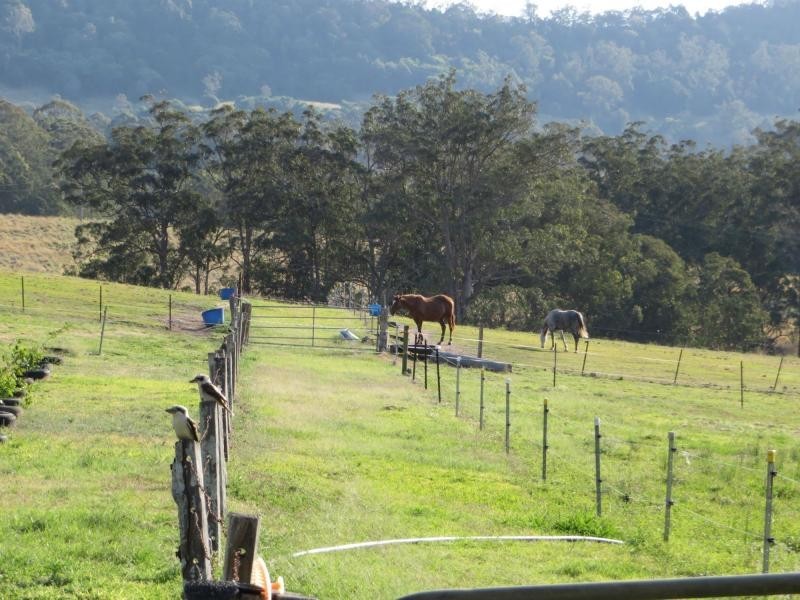 Eden Creek NSW 2474