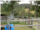 Eden Creek NSW 2474