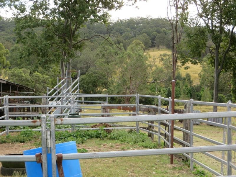 Eden Creek NSW 2474