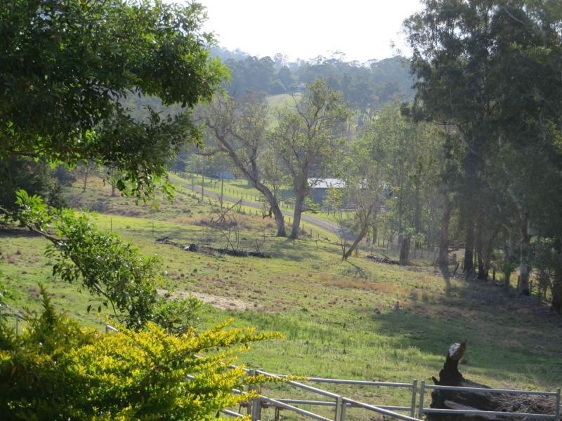 Eden Creek NSW 2474