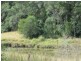 Eden Creek NSW 2474