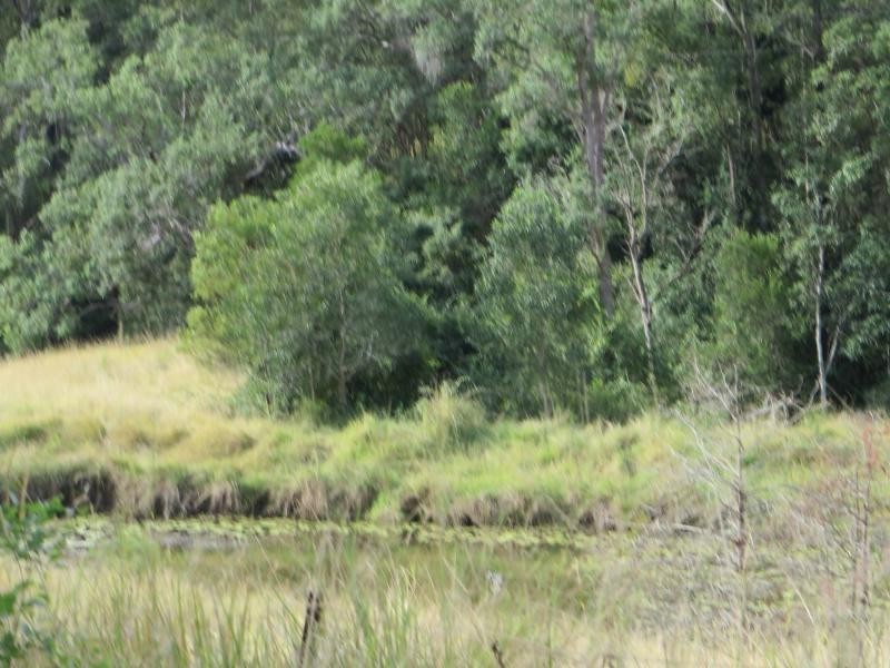 Eden Creek NSW 2474