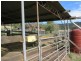 Eden Creek NSW 2474