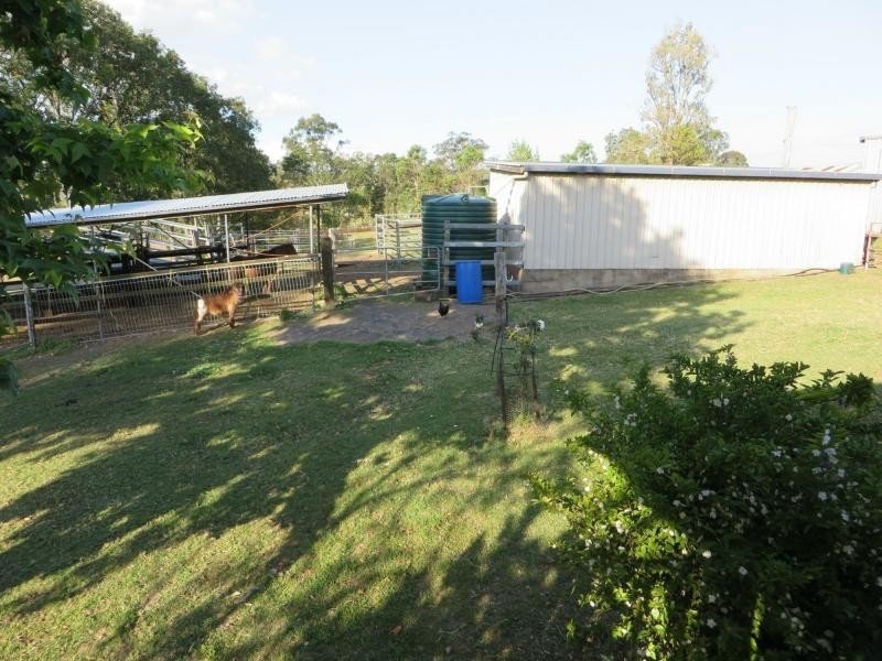 Eden Creek NSW 2474