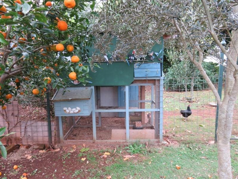 52 Ettrick Street, Kyogle NSW 2474