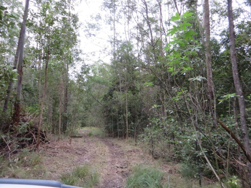 Lot 8 Long Gully Rd St, Drake NSW 2469
