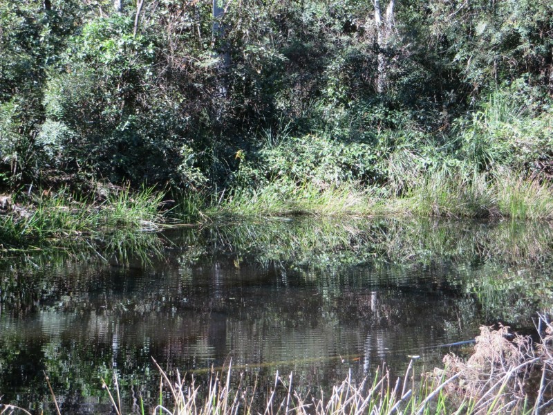 Lot 8 Long Gully Rd St, Drake NSW 2469