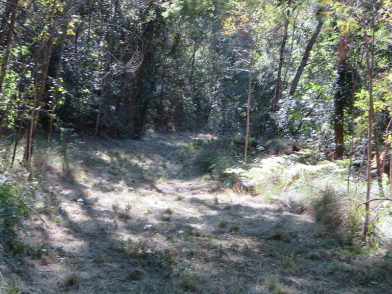 Lot 8 Long Gully Rd St, Drake NSW 2469