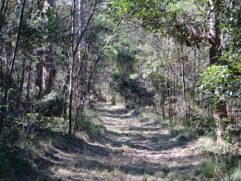 Lot 8 Long Gully Rd St, Drake NSW 2469