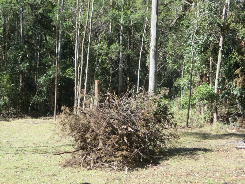 Lot 8 Long Gully Rd St, Drake NSW 2469