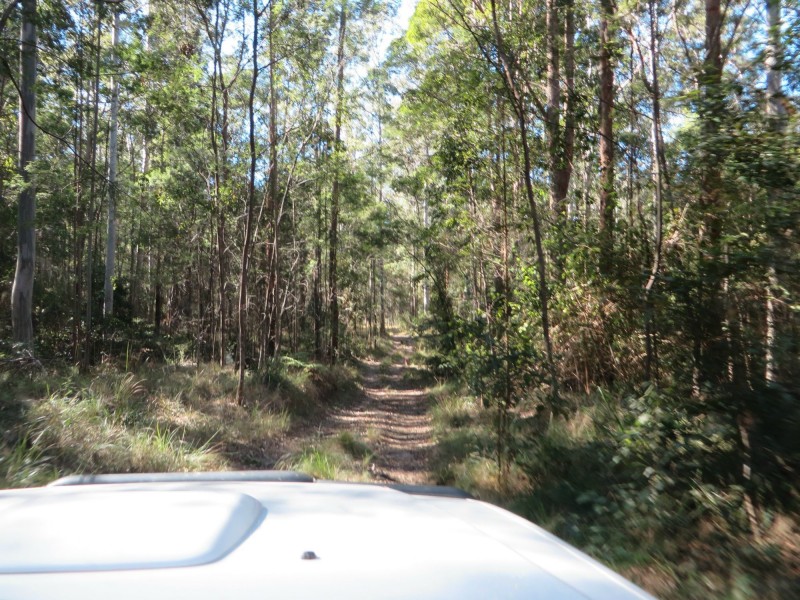 Lot 8 Long Gully Rd St, Drake NSW 2469