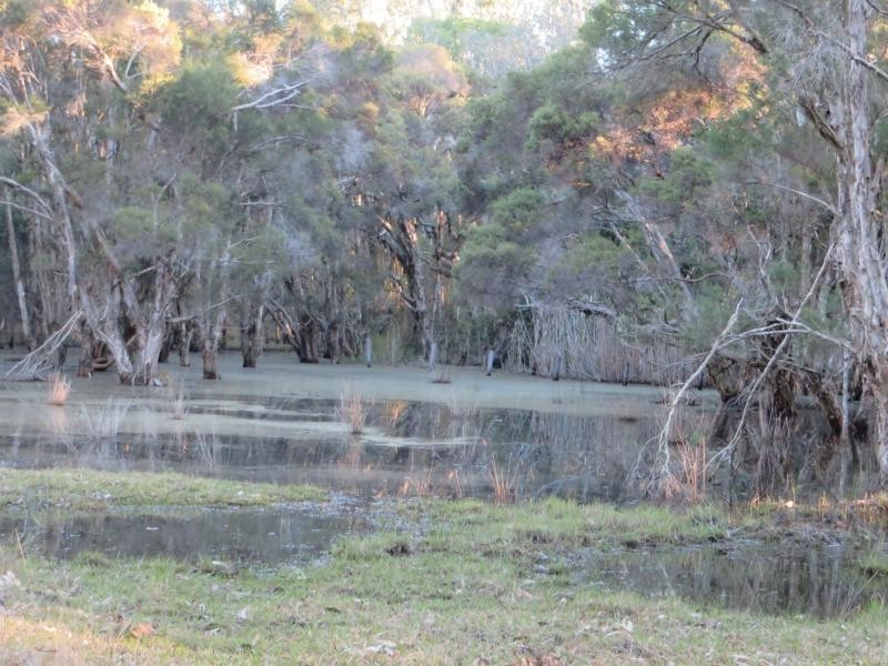 L13 Summerland Way , VIA CASINO, Rappville NSW 2469