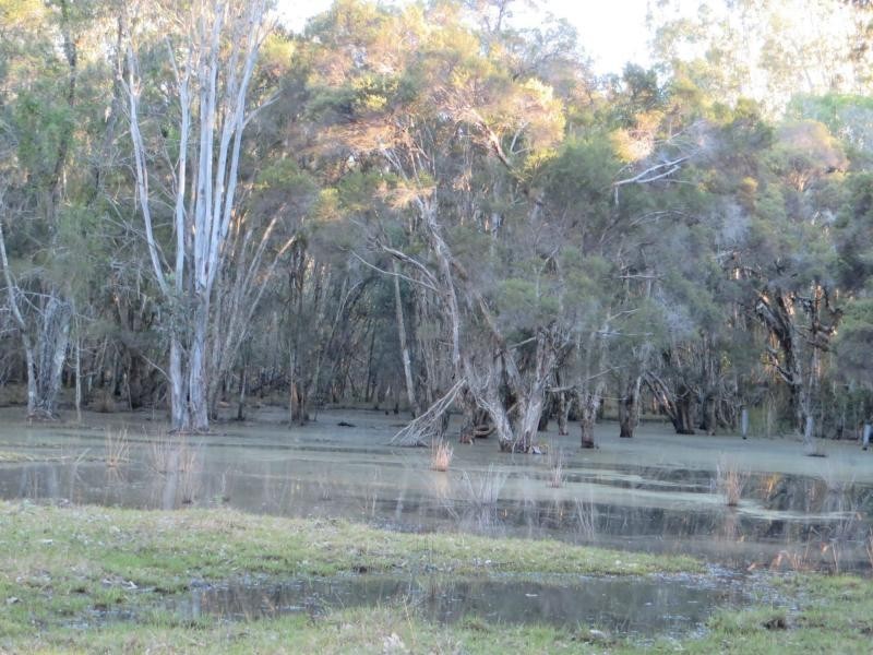 L13 Summerland Way , VIA CASINO, Rappville NSW 2469