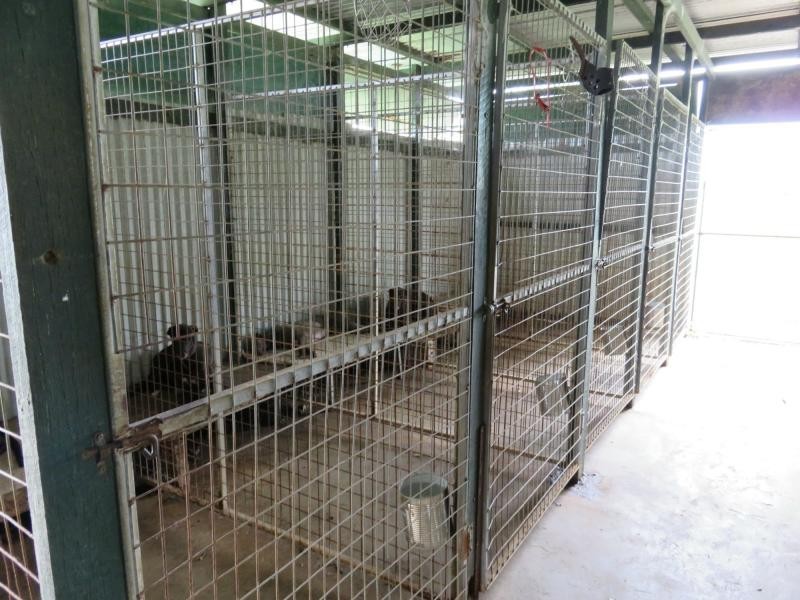 160 Rifle Range Road, Casino NSW 2470