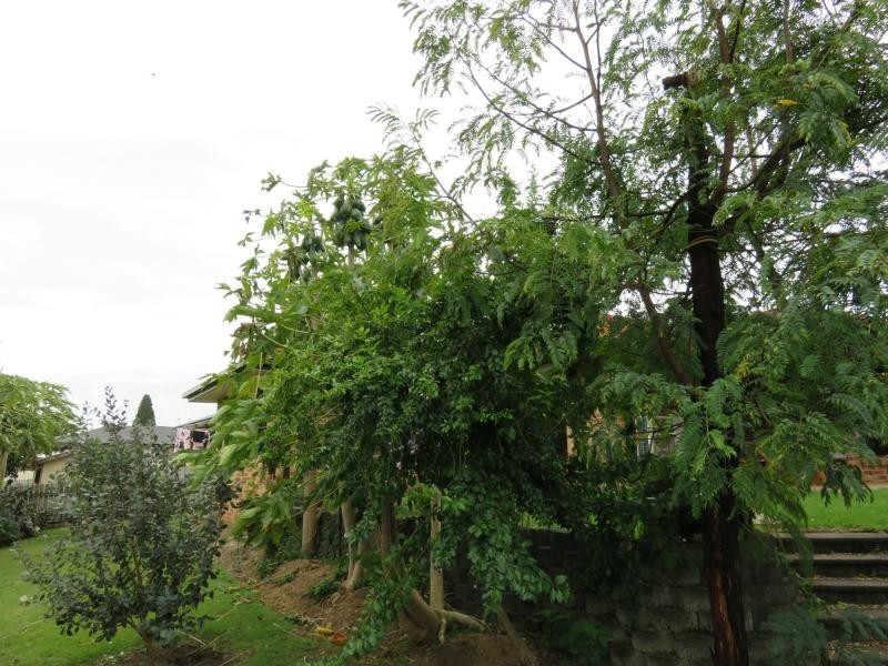 19 Kamala Avenue, Kyogle NSW 2474