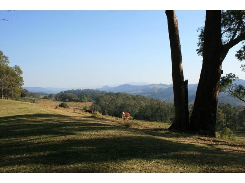 326 Bice Rd , LEYCESTER, Lismore NSW 2480