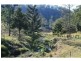 326 Bice Rd , LEYCESTER, Lismore NSW 2480