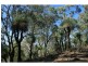 326 Bice Rd , LEYCESTER, Lismore NSW 2480