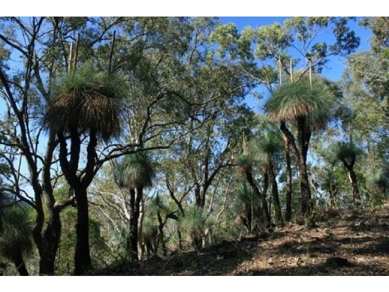 326 Bice Rd , LEYCESTER, Lismore NSW 2480