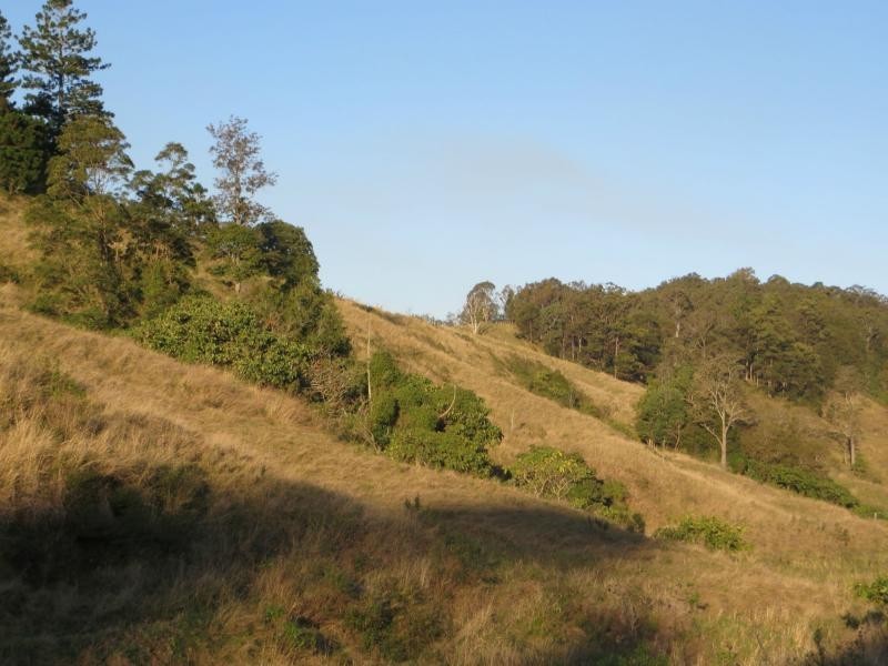 326 Bice Rd , LEYCESTER, Lismore NSW 2480