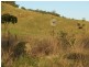 326 Bice Rd , LEYCESTER, Lismore NSW 2480