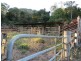 326 Bice Rd , LEYCESTER, Lismore NSW 2480