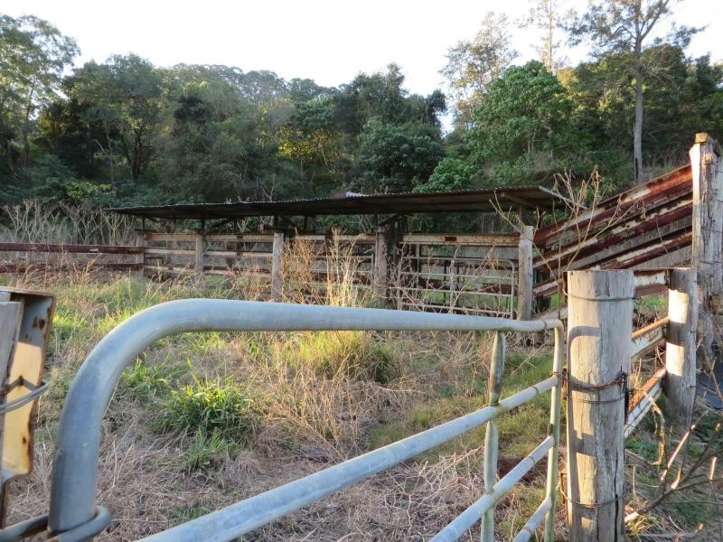 326 Bice Rd , LEYCESTER, Lismore NSW 2480