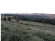 326 Bice Rd , LEYCESTER, Lismore NSW 2480