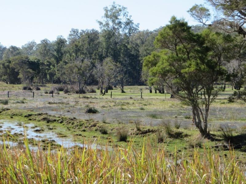 L56 Mount Marsh Rd , VIA WHIPORIE / GRAFTON, Mount Marsh NSW 2469