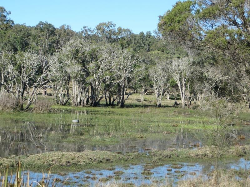 L56 Mount Marsh Rd , VIA WHIPORIE / GRAFTON, Mount Marsh NSW 2469