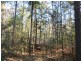 525 Bruxner Road, Tabulam NSW 2469