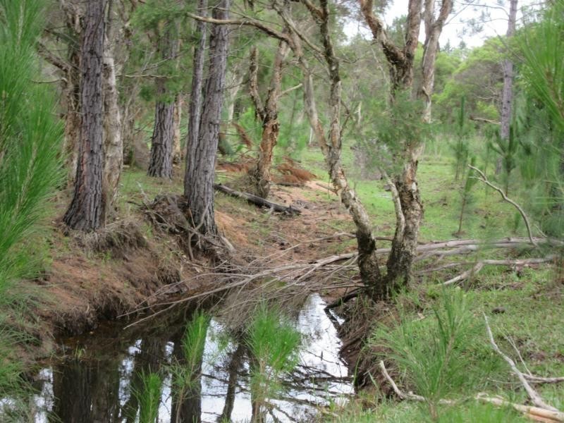 Lot 502 Old Tenterfield Road, Rappville NSW 2469