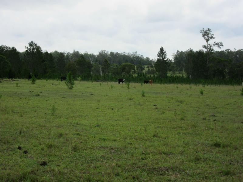 Lot 502 Old Tenterfield Road, Rappville NSW 2469