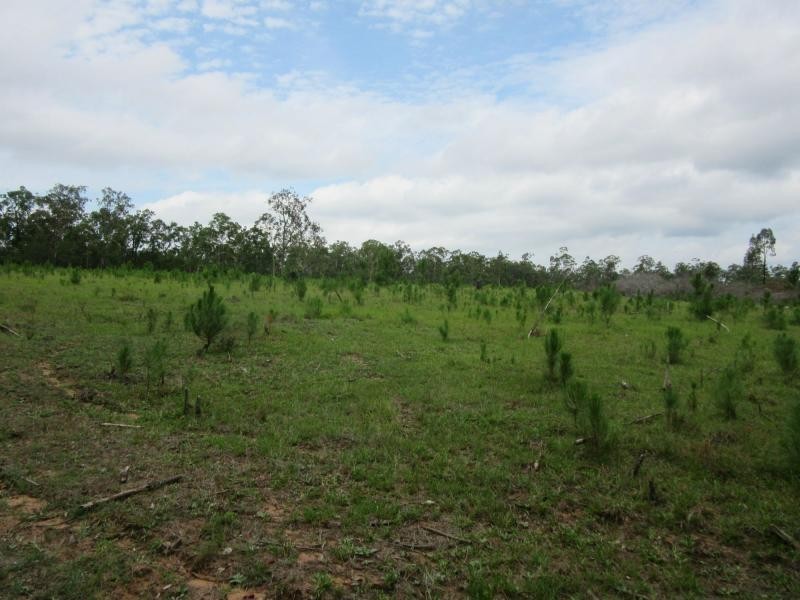 Lot 502 Old Tenterfield Road, Rappville NSW 2469