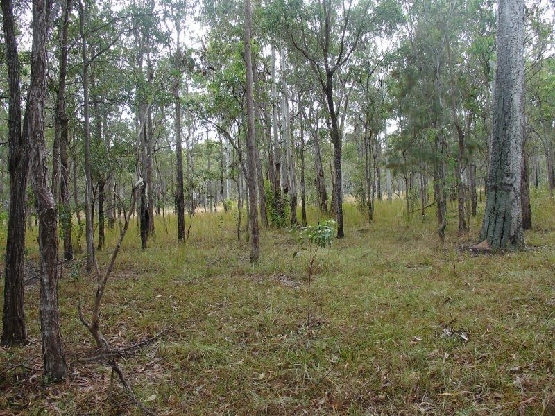 Lot 32 Old Tenterfield Road, Rappville NSW 2469