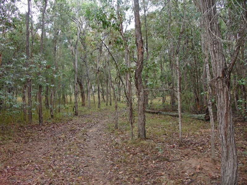 Lot 32 Old Tenterfield Road, Rappville NSW 2469