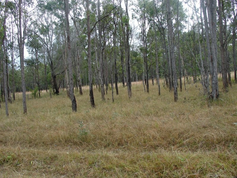 Lot 32 Old Tenterfield Road, Rappville NSW 2469