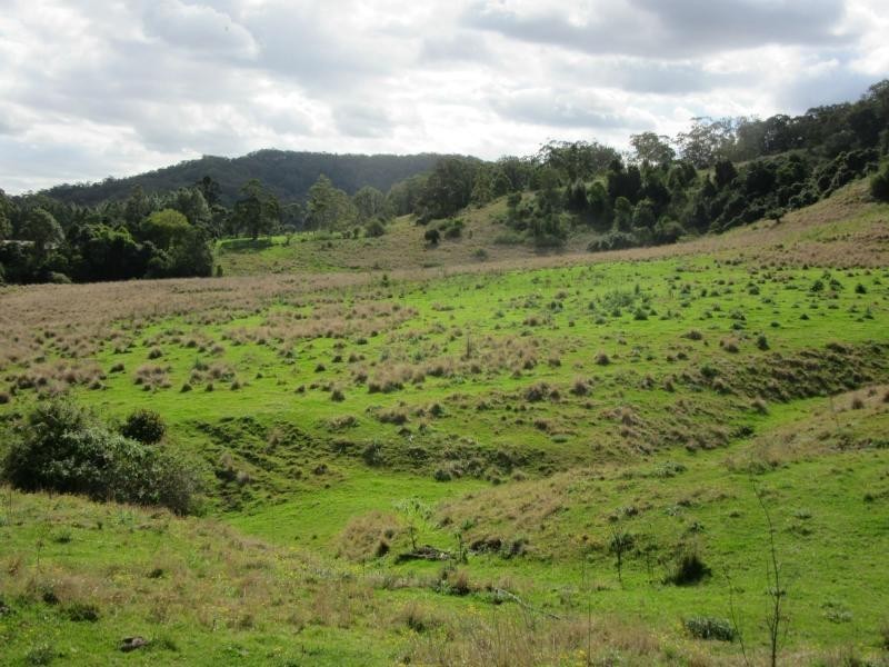 423A Gores Road, Spring Grove, Casino NSW 2470