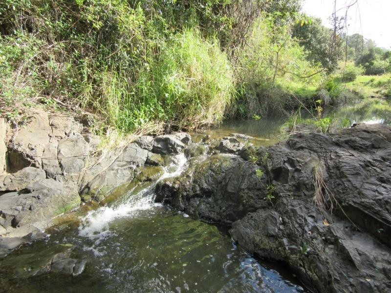 423A Gores Road, Spring Grove, Casino NSW 2470