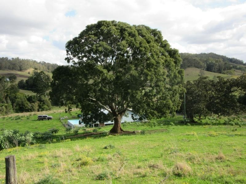 423A Gores Road, Spring Grove, Casino NSW 2470