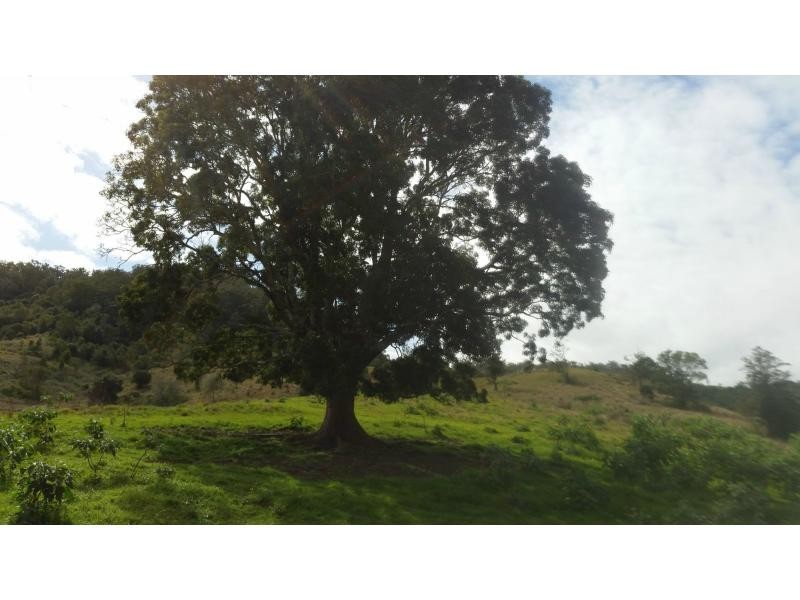 423A Gores Road, Spring Grove, Casino NSW 2470